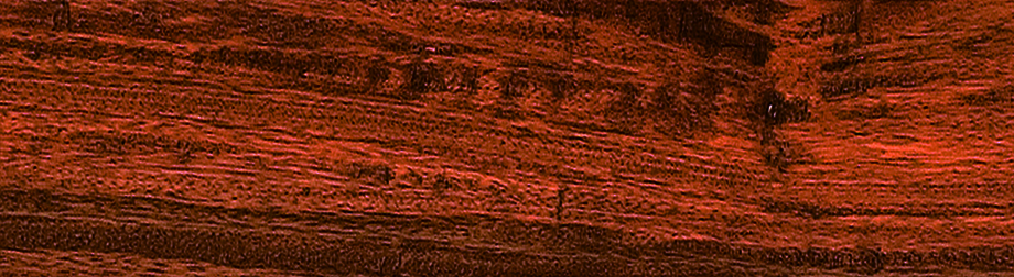 實木領袖地板-落腺豆-T1仿古